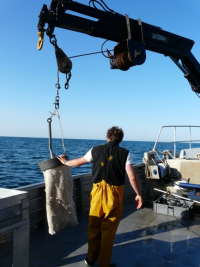 Prélèvements scientifiques  - Agence des aires marines protégées - L. Germain