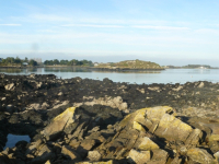 Ilot de Gravignez et récifs - Syndicat Mixte de la Ria d'Etel - C. Izard