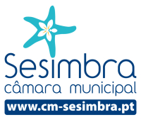 P5.a - 2010 WP2 Sesimbra